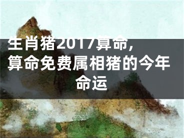 生肖猪2017算命,算命免费属相猪的今年命运