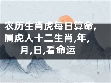 农历生肖虎每日算命,属虎人十二生肖,年,月,日,看命运