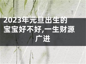 2023年元旦出生的宝宝好不好,一生财源广进