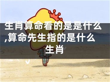 生肖算命看的是是什么,算命先生指的是什么生肖