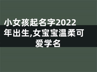 小女孩起名字2022年出生,女宝宝温柔可爱学名