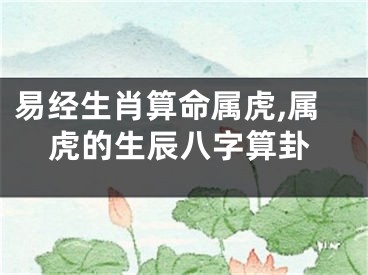 易经生肖算命属虎,属虎的生辰八字算卦