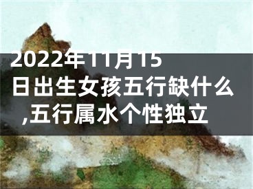 2022年11月15日出生女孩五行缺什么,五行属水个性独立