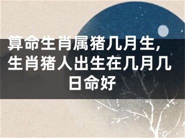 算命生肖属猪几月生,生肖猪人出生在几月几日命好