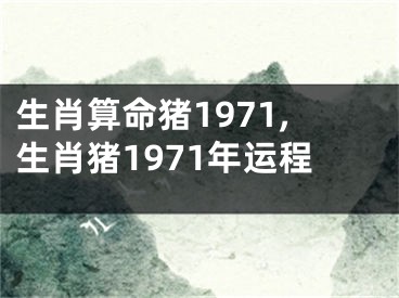 生肖算命猪1971,生肖猪1971年运程