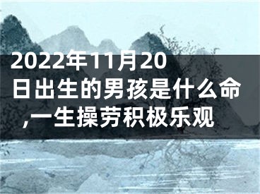 2022年11月20日出生的男孩是什么命,一生操劳积极乐观