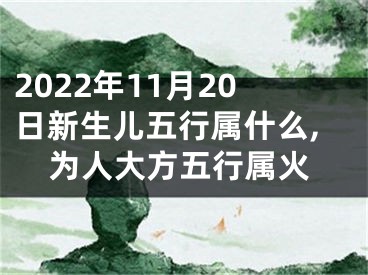 2022年11月20日新生儿五行属什么,为人大方五行属火