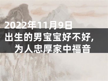 2022年11月9日出生的男宝宝好不好,为人忠厚家中福音