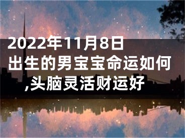 2022年11月8日出生的男宝宝命运如何,头脑灵活财运好