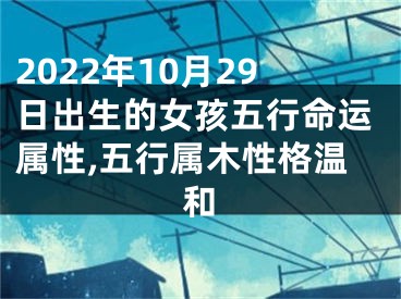 2022年10月29日出生的女孩五行命运属性,五行属木性格温和