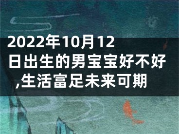 2022年10月12日出生的男宝宝好不好,生活富足未来可期