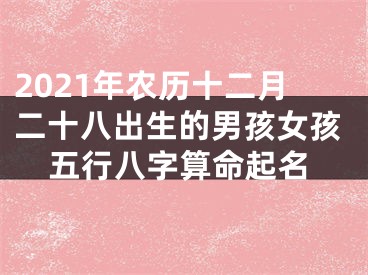 2021年农历十二月二十八出生的男孩女孩五行八字算命起名