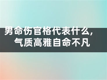 男命伤官格代表什么,气质高雅自命不凡