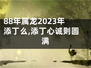 88年属龙2023年添丁么,添丁心诚则圆满