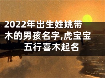 2022年出生姓姚带木的男孩名字,虎宝宝五行喜木起名