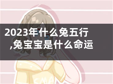 2023年什么兔五行,兔宝宝是什么命运