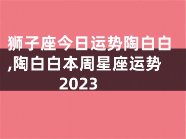 狮子座今日运势陶白白,陶白白本周星座运势2023