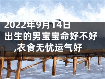 2022年9月14日出生的男宝宝命好不好,衣食无忧运气好