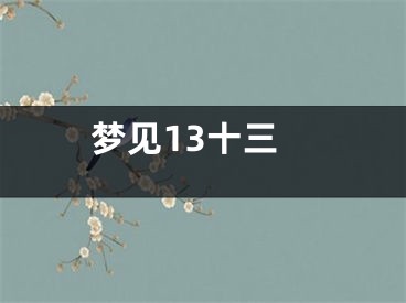 梦见13十三