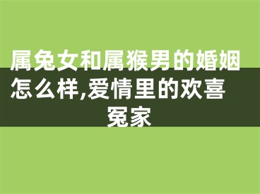 属兔女和属猴男的婚姻怎么样,爱情里的欢喜冤家