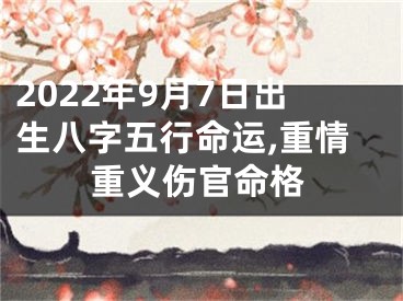 2022年9月7日出生八字五行命运,重情重义伤官命格