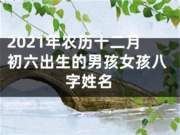 2021年农历十二月初六出生的男孩女孩八字姓名