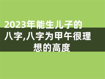 2023年能生儿子的八字,八字为甲午很理想的高度