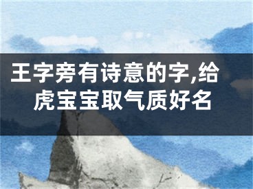 王字旁有诗意的字,给虎宝宝取气质好名