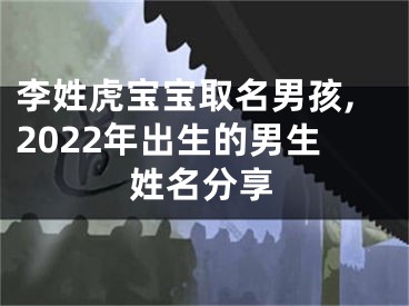 李姓虎宝宝取名男孩,2022年出生的男生姓名分享