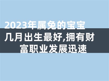 2023年属兔的宝宝几月出生最好,拥有财富职业发展迅速