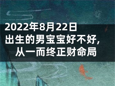 2022年8月22日出生的男宝宝好不好,从一而终正财命局