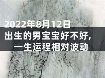 2022年8月12日出生的男宝宝好不好,一生运程相对波动