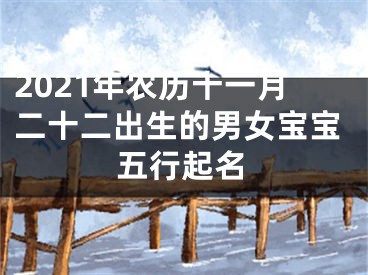 2021年农历十一月二十二出生的男女宝宝五行起名