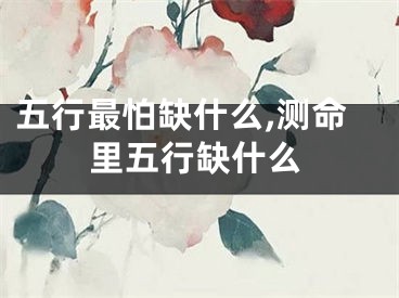 五行最怕缺什么,测命里五行缺什么