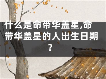 什么是命带华盖星,命带华盖星的人出生日期?