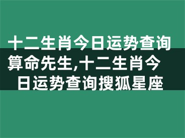 十二生肖今日运势查询算命先生,十二生肖今日运势查询搜狐星座