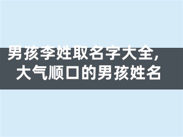 男孩李姓取名字大全,大气顺口的男孩姓名