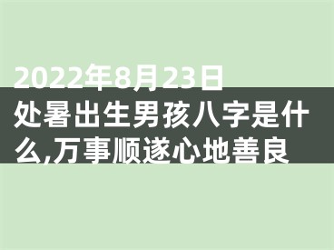 2022年8月23日处暑出生男孩八字是什么,万事顺遂心地善良