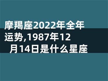 摩羯座2022年全年运势,1987年12月14日是什么星座