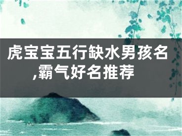 虎宝宝五行缺水男孩名,霸气好名推荐