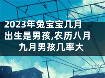 2023年兔宝宝几月出生是男孩,农历八月九月男孩几率大