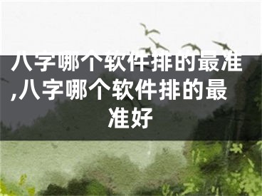 八字哪个软件排的最准,八字哪个软件排的最准好