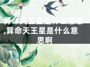 算命天王星是什么意思,算命天王星是什么意思啊