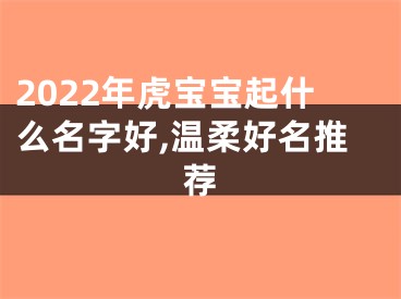 2022年虎宝宝起什么名字好,温柔好名推荐