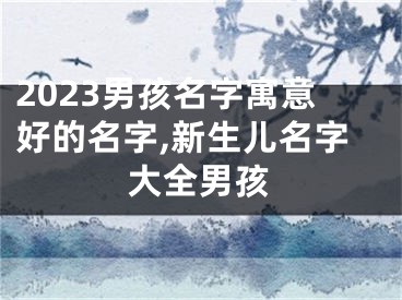 2023男孩名字寓意好的名字,新生儿名字大全男孩