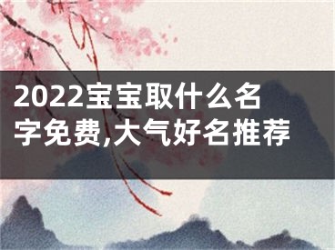 2022宝宝取什么名字免费,大气好名推荐