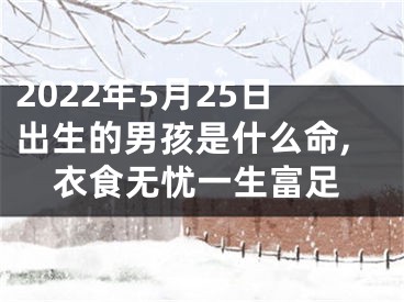 2022年5月25日出生的男孩是什么命,衣食无忧一生富足