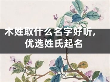 木姓取什么名字好听,优选姓氏起名