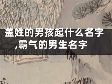 盖姓的男孩起什么名字,霸气的男生名字