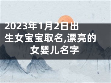 2023年1月2日出生女宝宝取名,漂亮的女婴儿名字